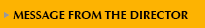 Message From the Director