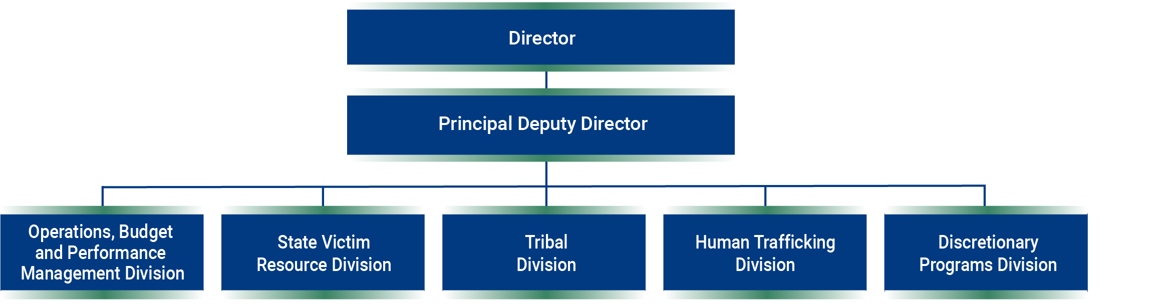 Director. Principal Deputy Director. Divisions: 1. Operations, Budget, and Performance Management Division. 2. State Victim Resource Division. 3. Tribal Division. 4. Human Trafficking Division. 5. Discretionary Programs Division