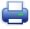 Print icon
